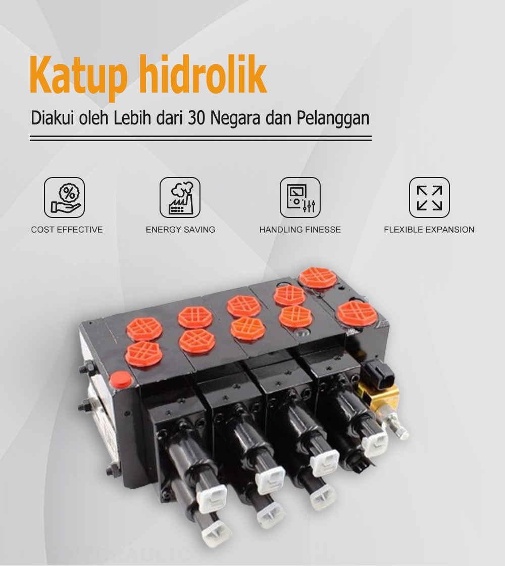 HSDVG32 Proporsional listrik dan Manual 5 Spul Kran Kontrol Proporsional